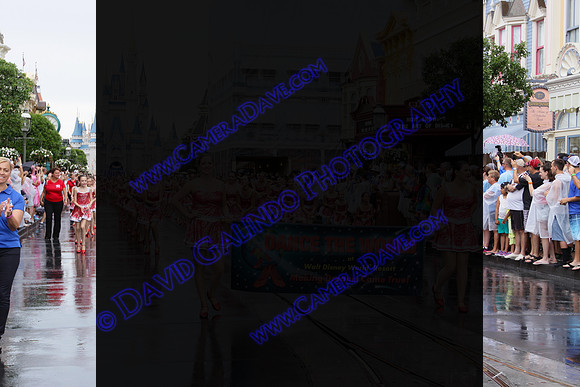 DTW15-24089
