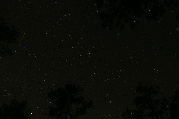 DGP_7977