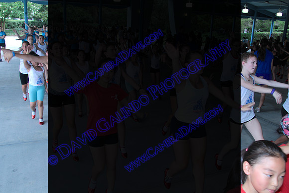 DTW16_22735