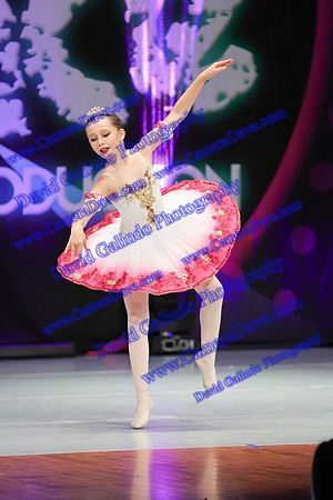 DG1_5565