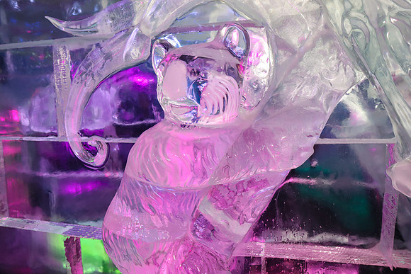 IMG_6975