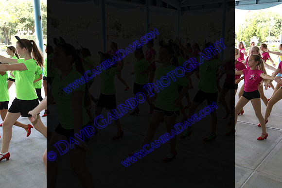 DTW15-22019