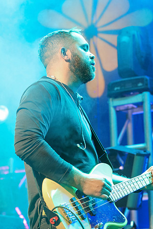 DG2_4434