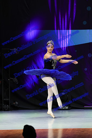 DG1_2661