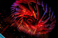 DTWN25-06507