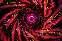DTWN25-06504
