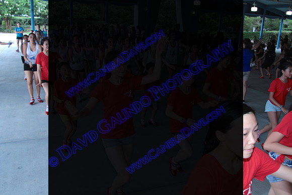 DTW16_22733