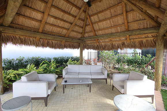 DG1_9593