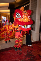 DG1_7172