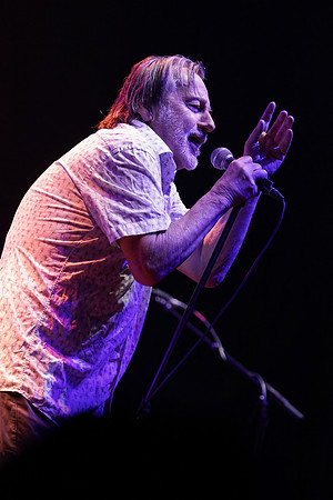 DG2_9519