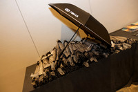 DG3_4541