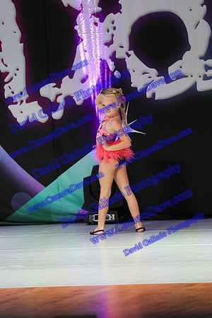 DG1_9275