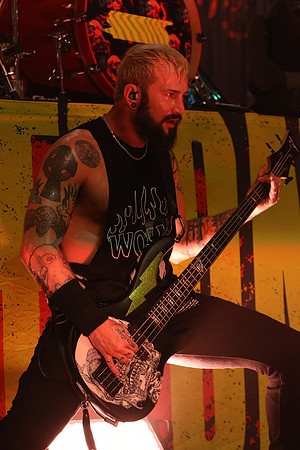 DGP_4393