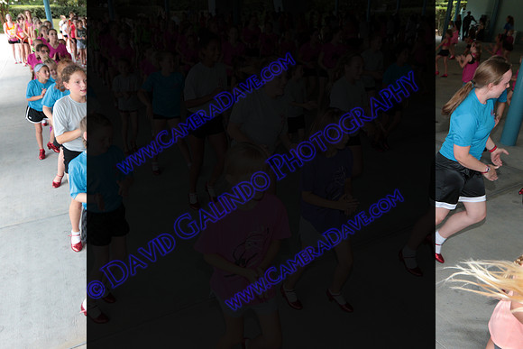 DTW16_09960