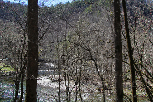 IMG_2553