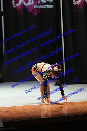 DG1_8813