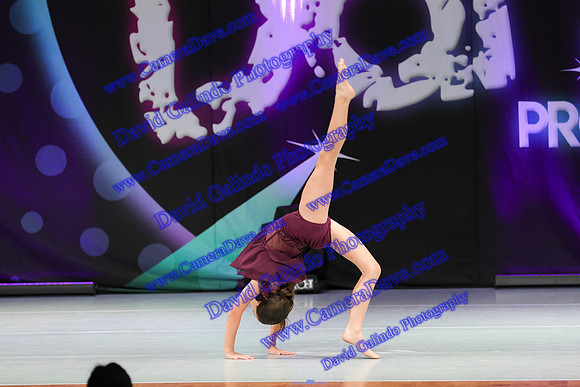 DG1_0387