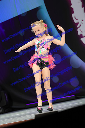 DG1_9338