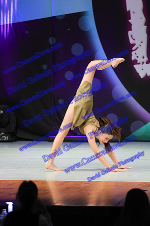 DG1_4542