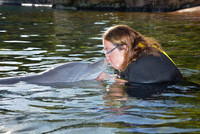 dolphinkiss