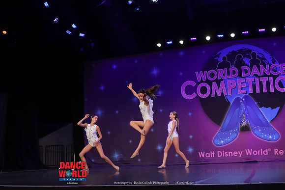 WDC22-08215