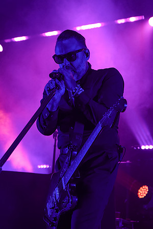 DG2_4871