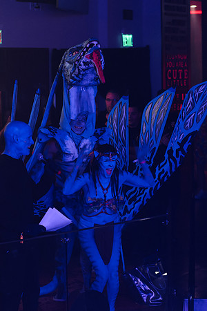 DG2_9485