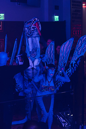 DG2_9492