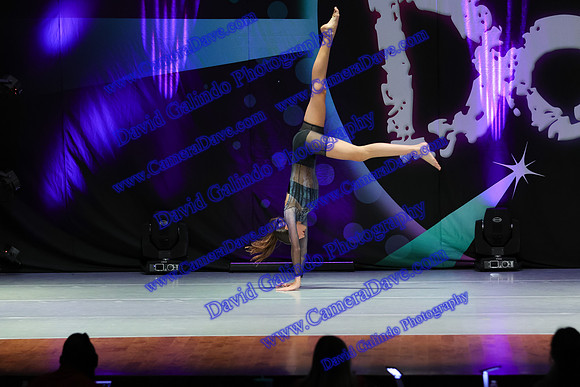 DG1_2909