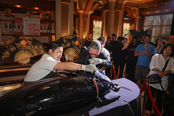 DG2_8968