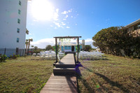 DG2_8260