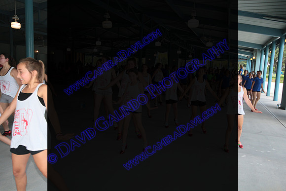 DTW14-18010