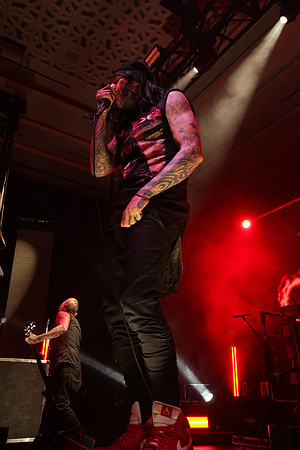DG2_9847