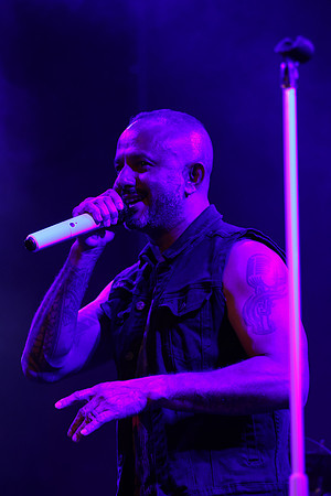 DGP_6493