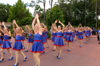 WDC18-00409