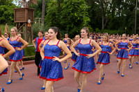 WDC18-00411
