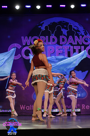 WDC19-07642