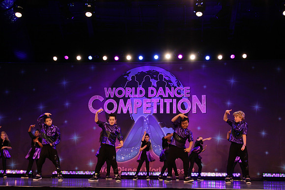 WDC17_04310