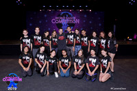 WDC19-11409