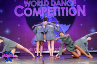 WDC19-04207