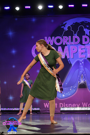 WDC19-04213