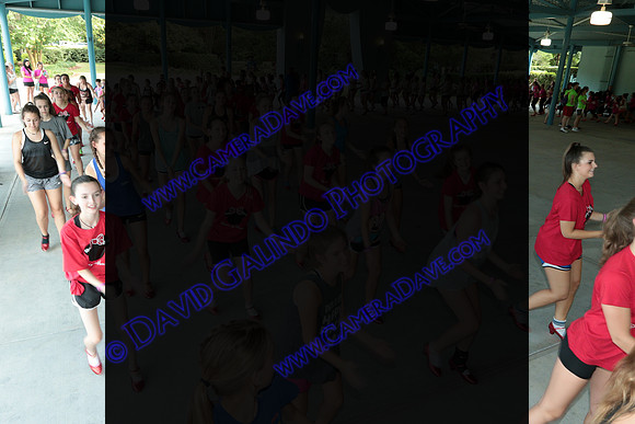 DTW16_01067