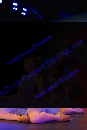 DTW16_31447