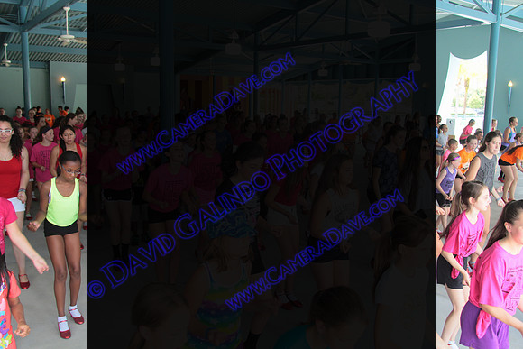 DTW14-1019