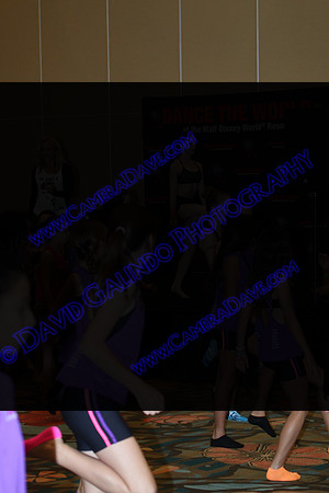 DTW15-20116