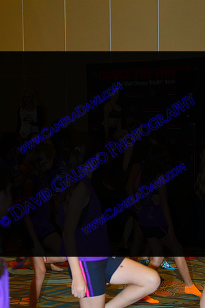 DTW15-20115