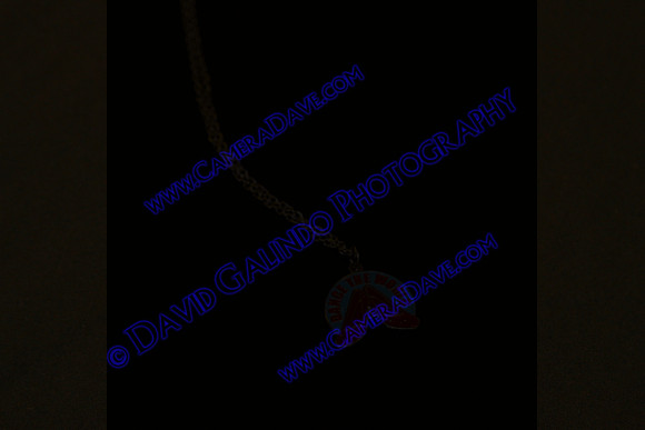 DTW15-20147
