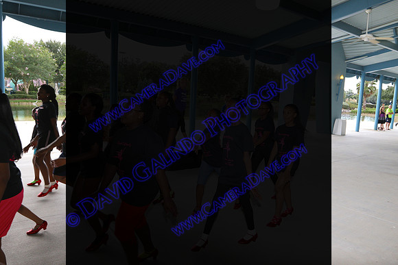 DTW15-12067