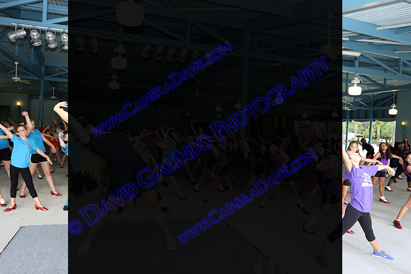 DTW15-12015