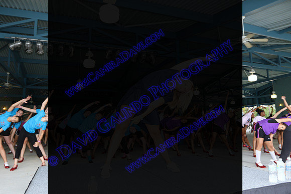 DTW15-12010